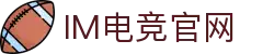 IM(股份有限公司)电竞-电子竞技平台